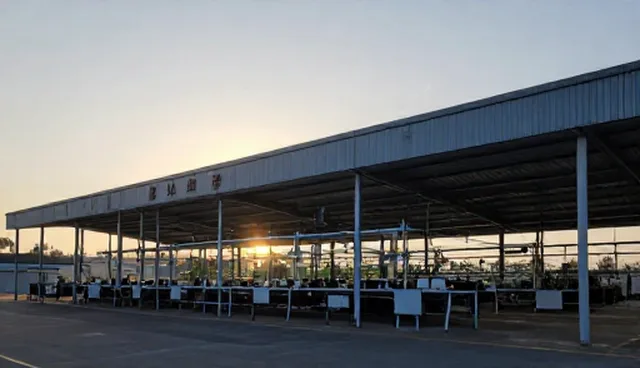 农产品销售中处理方法对性能与适用条件的影响